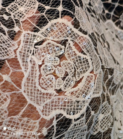 Glitterazzi Embroidered Net Fabric With Sequins 013