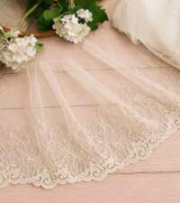 Beige Embroidery Nets 6 Lace No 999