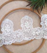 Victorian Intricacies Corded Net Lace No 988b