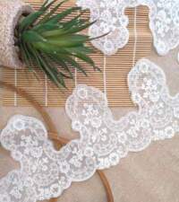 Victorian Intricacies Corded Net Lace No 988a