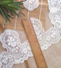 Victorian Intricacies Corded Net Lace No 988e