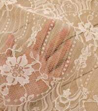 Vertical Pattern Floral Chantilly Lace No 122b